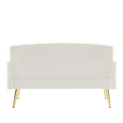 55.5 Velvet 2-Seater Sofa with 2 Pillows, Contemporary Design, and Easy Assembly