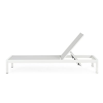 Cape Coral Outdoor Aluminum Chaise Lounge (Set of 2) by Christopher Knight Home - 77.56 D x 25.20 W x 11.80 H