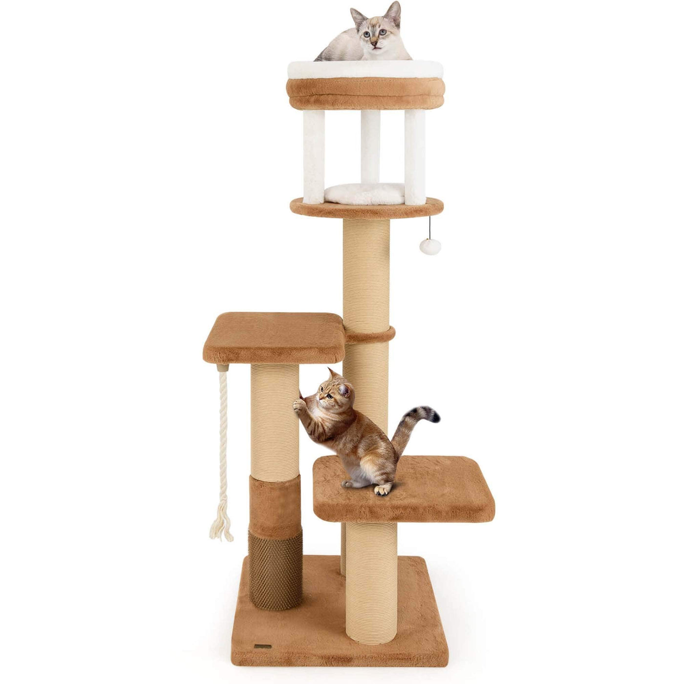Costway 65 Tall Cat Tree for Indoor with Self-groomer Padded Perch - See Details