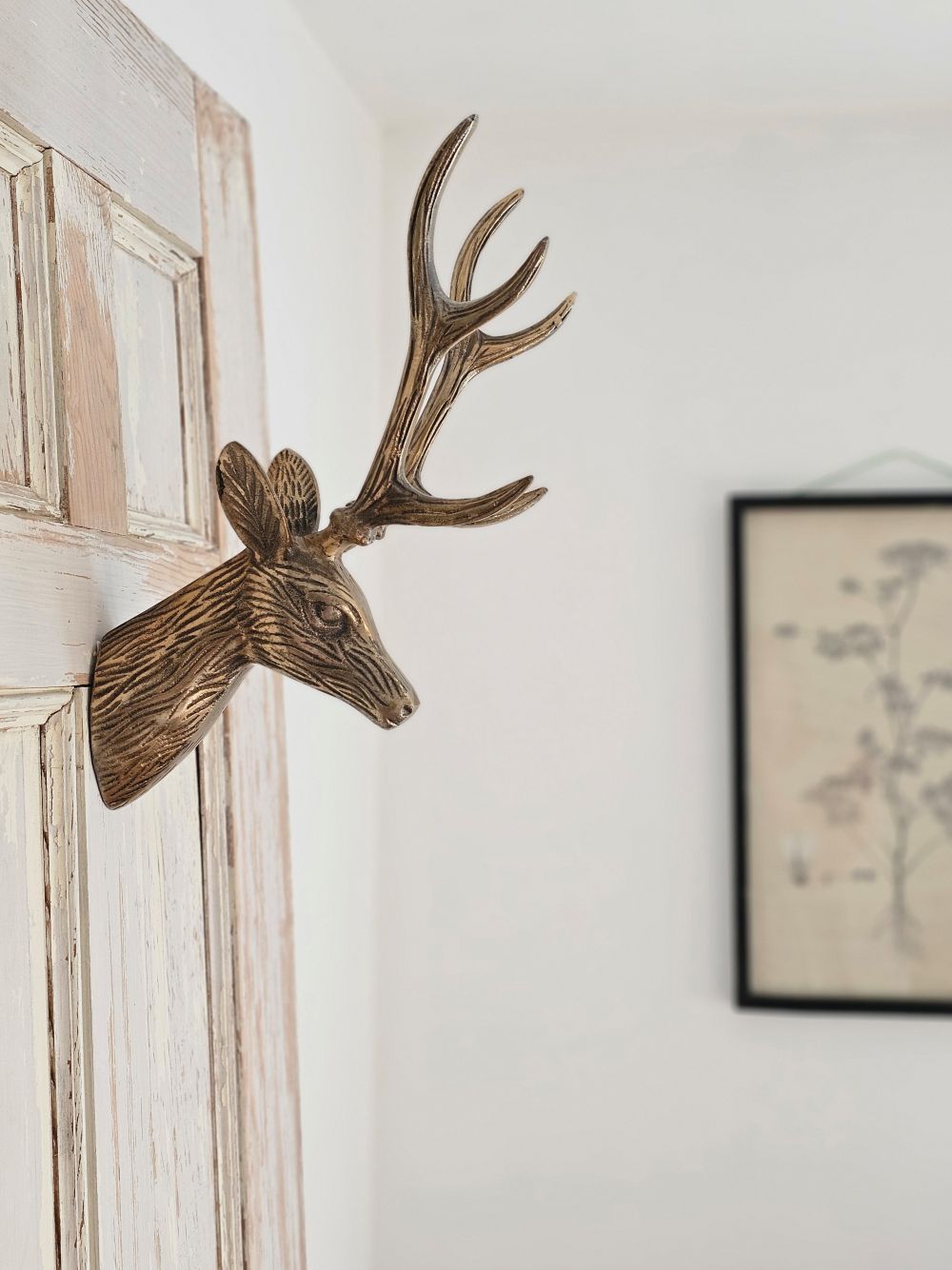 Deer Head Wall Mount with Antlers