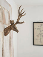 Deer Head Wall Mount with Antlers
