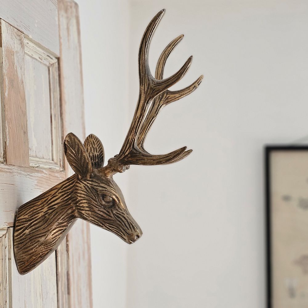 Deer Head Wall Mount with Antlers