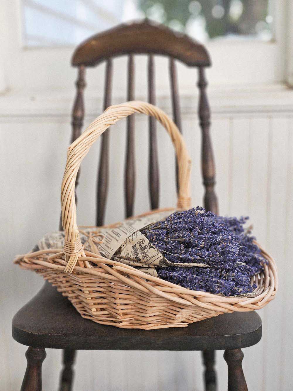 French Lavender Bouquet