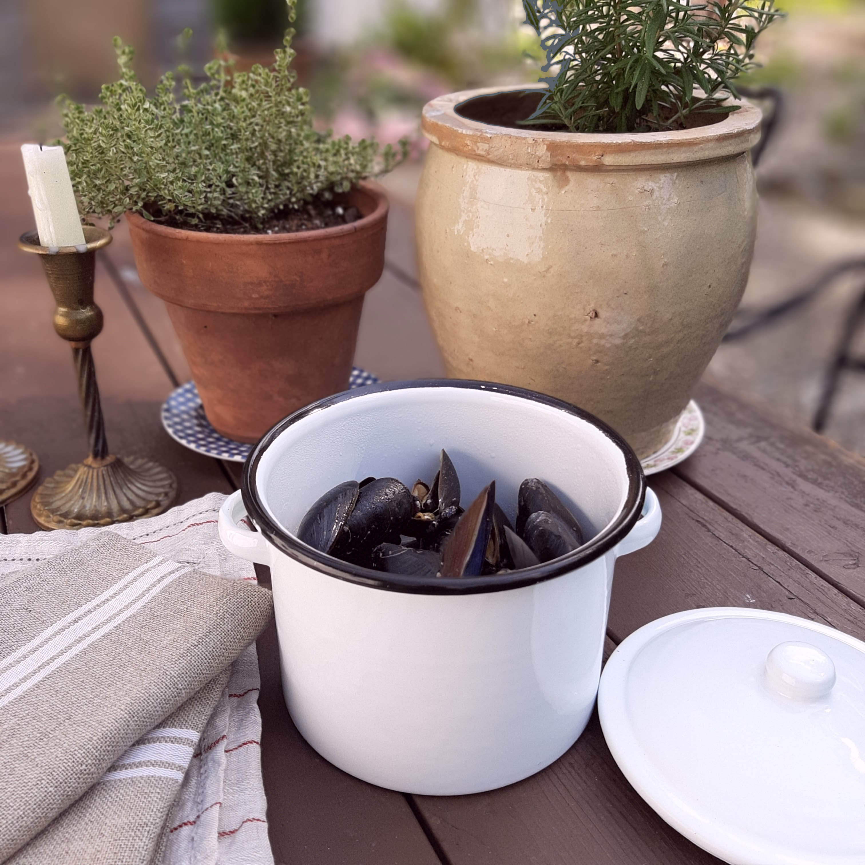 White Enamel Stock Pot with Black Rim