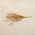 Faded Cream Wildflower and Grass Spray