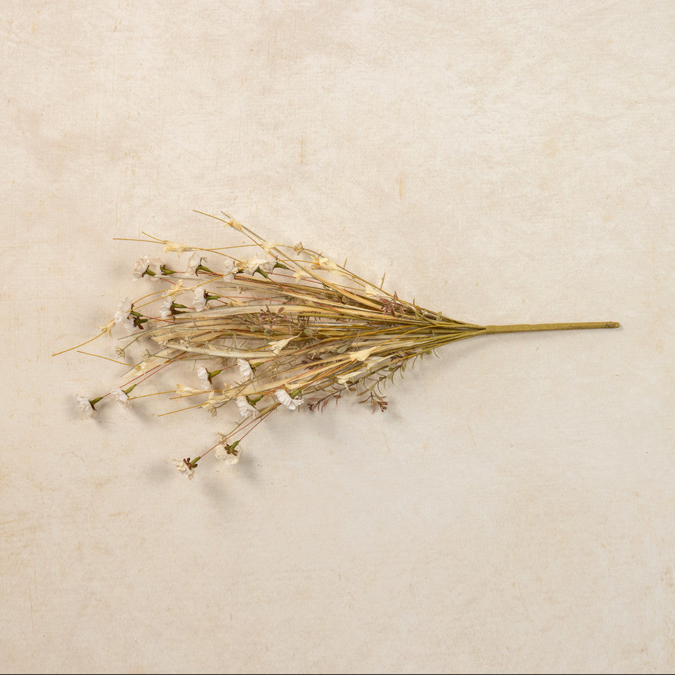 Faded Cream Wildflower and Grass Spray