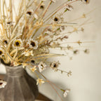 Faded Cream Wildflower and Grass Spray