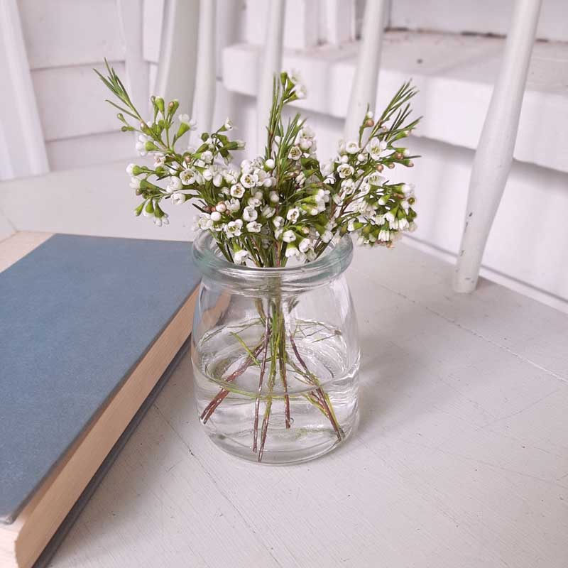 French Style Yogurt Jars and Demitasse Spoon Set