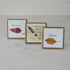 Gold and Glass Easel Picture Frame Place Card Holder Set