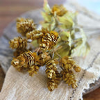 Golden Green Hops Bush