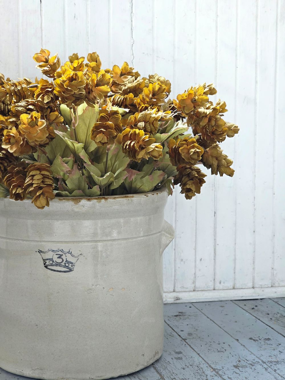 Golden Green Hops Bush