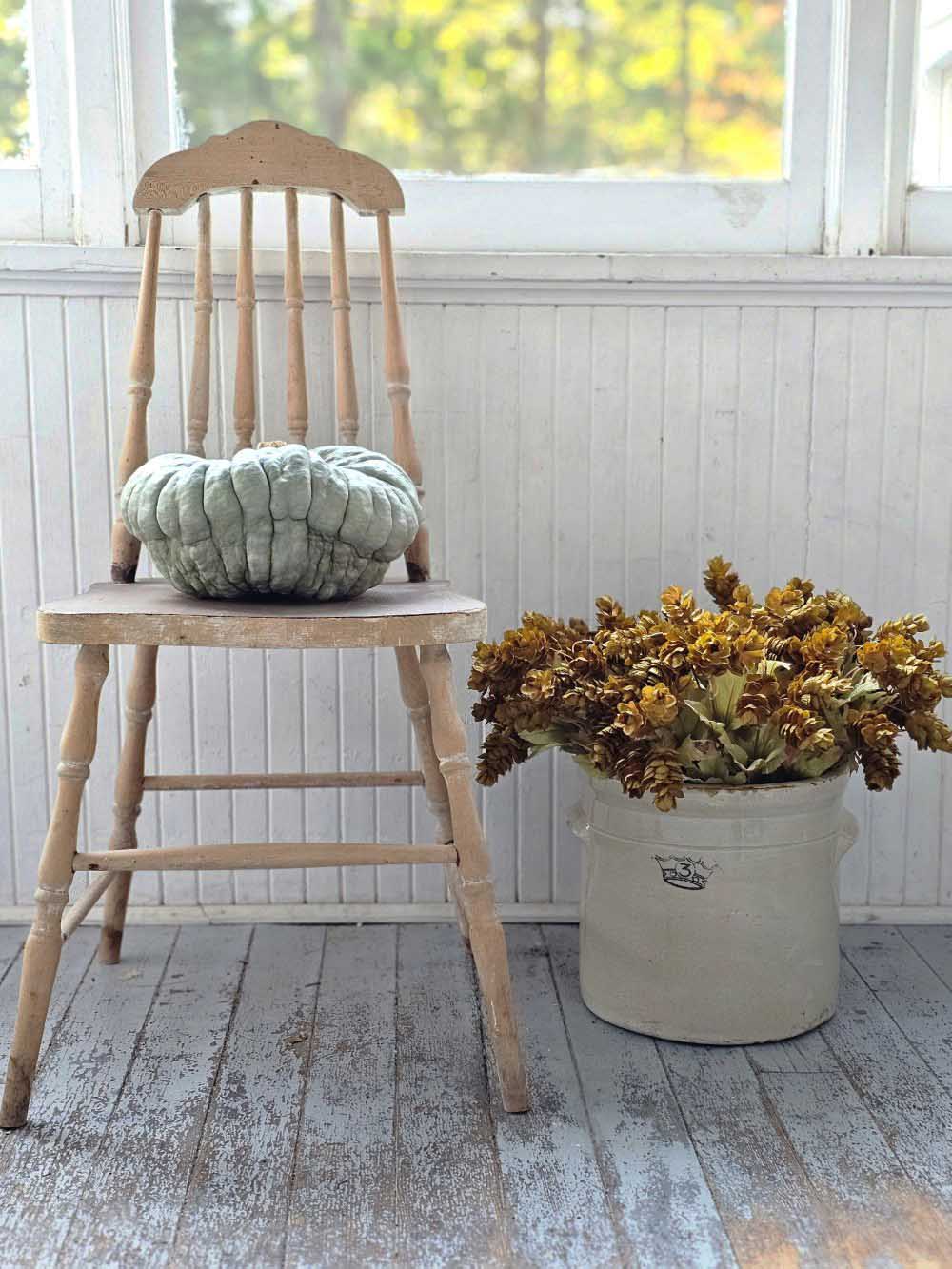 Golden Green Hops Bush