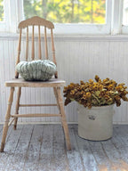 Golden Green Hops Bush