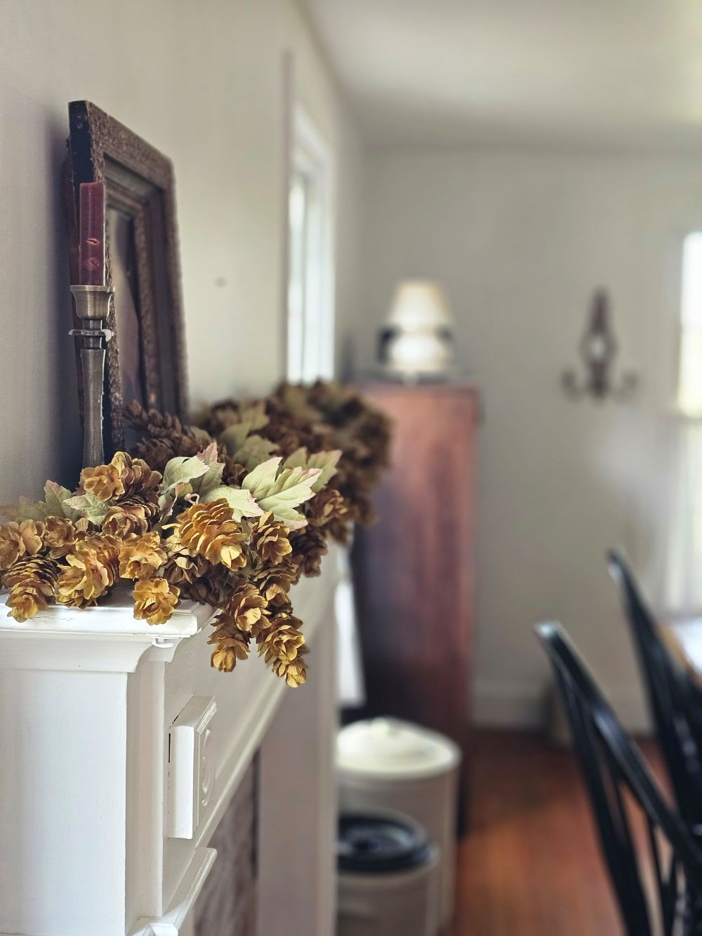 Golden Green Hops Bush