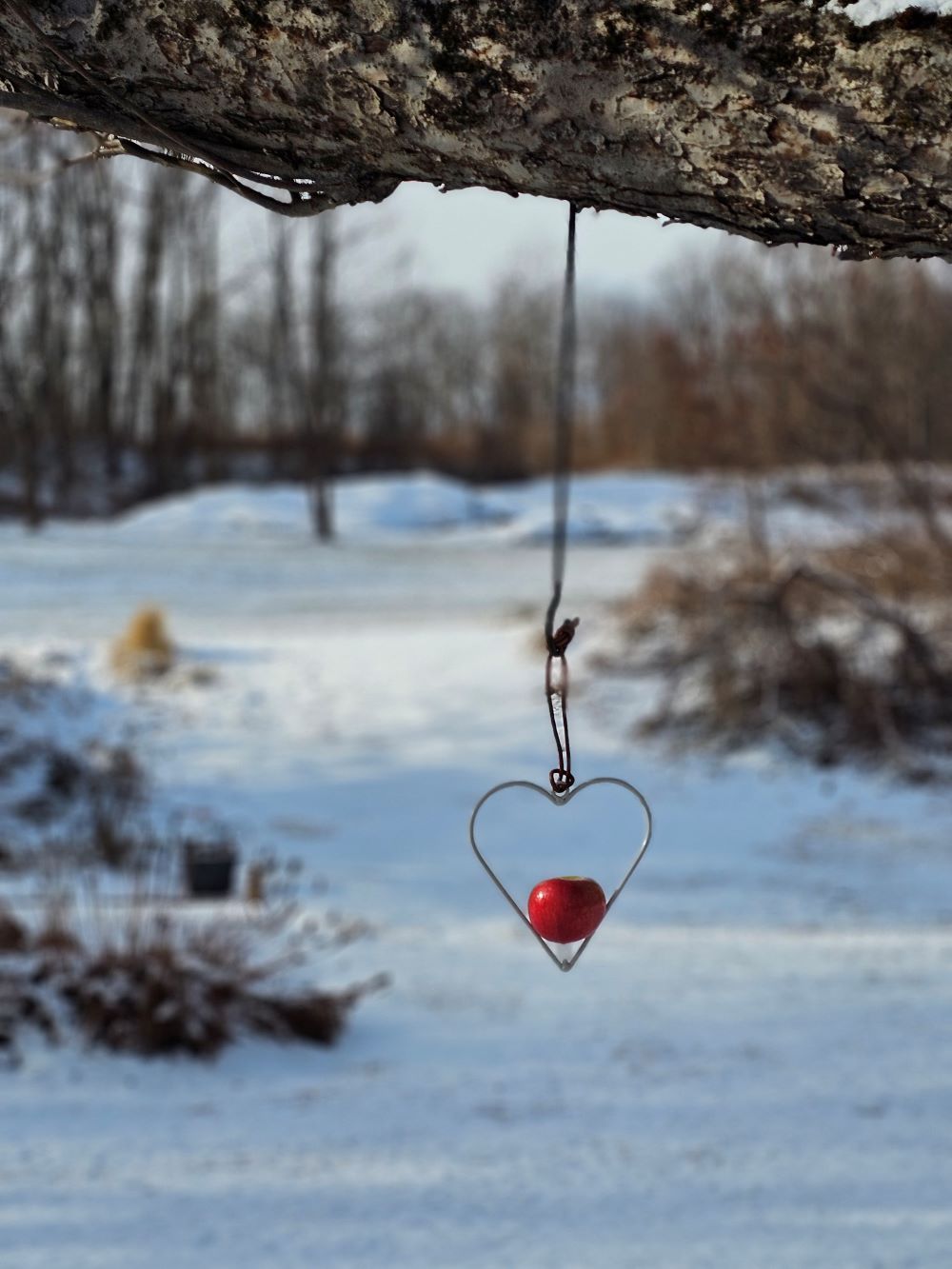 Heart Apple Bird Feeder