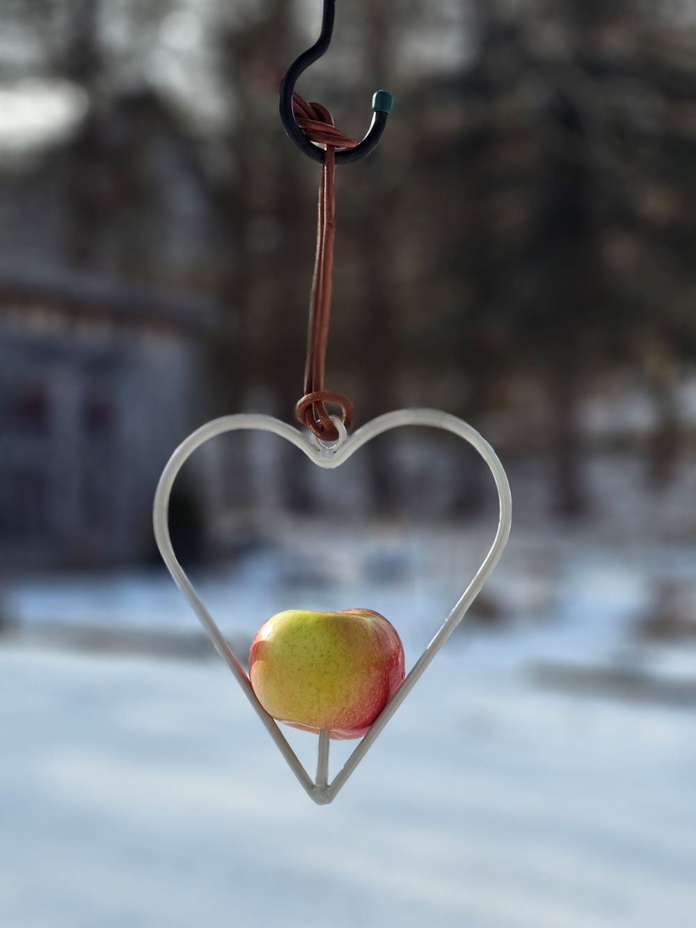 Heart Apple Bird Feeder