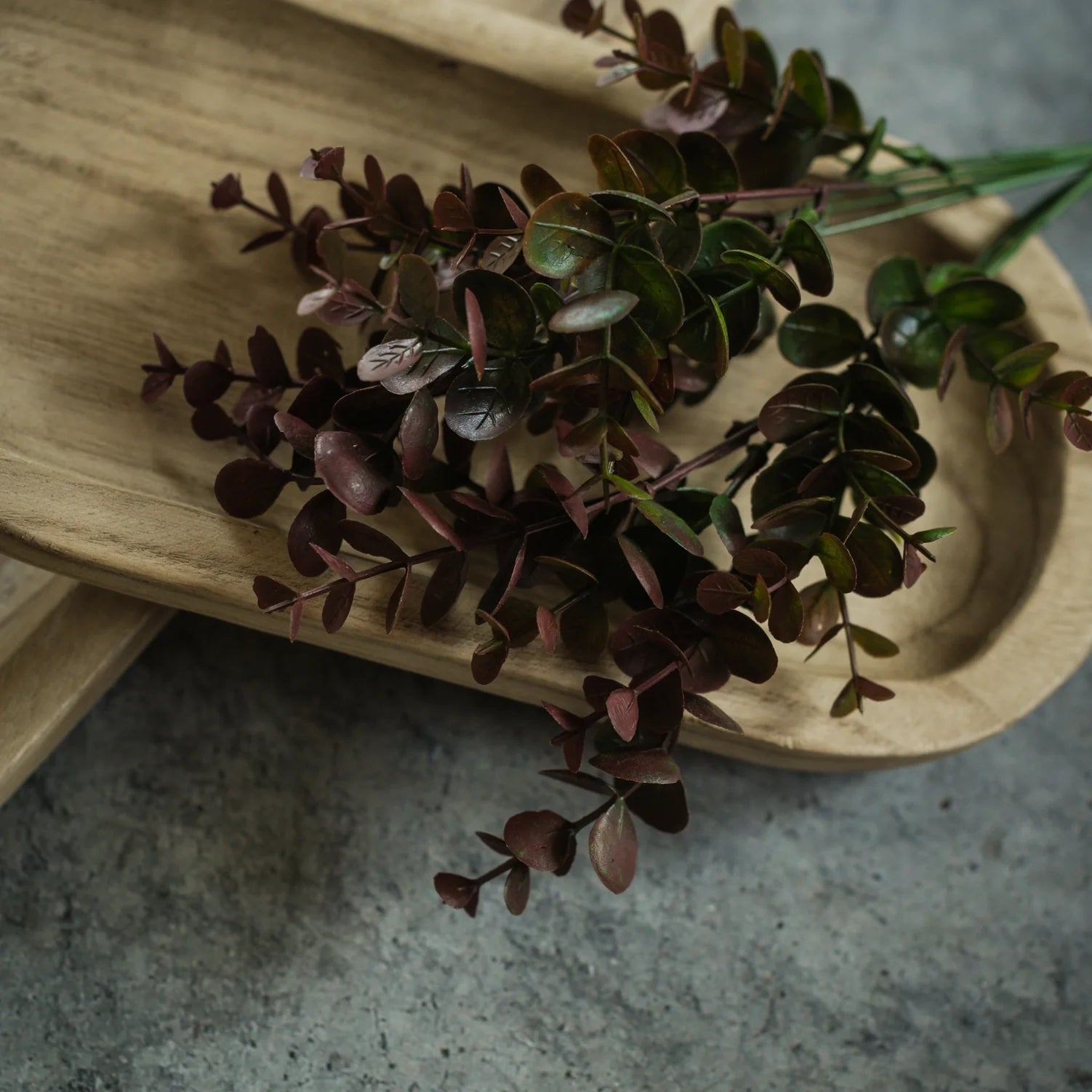 Dark Maroon Eucalyptus Pick