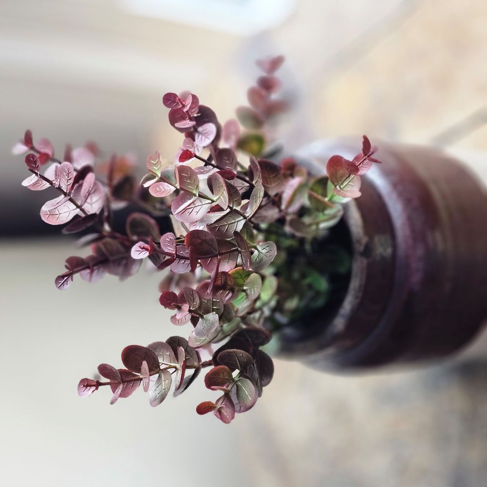 Dark Maroon Eucalyptus Pick