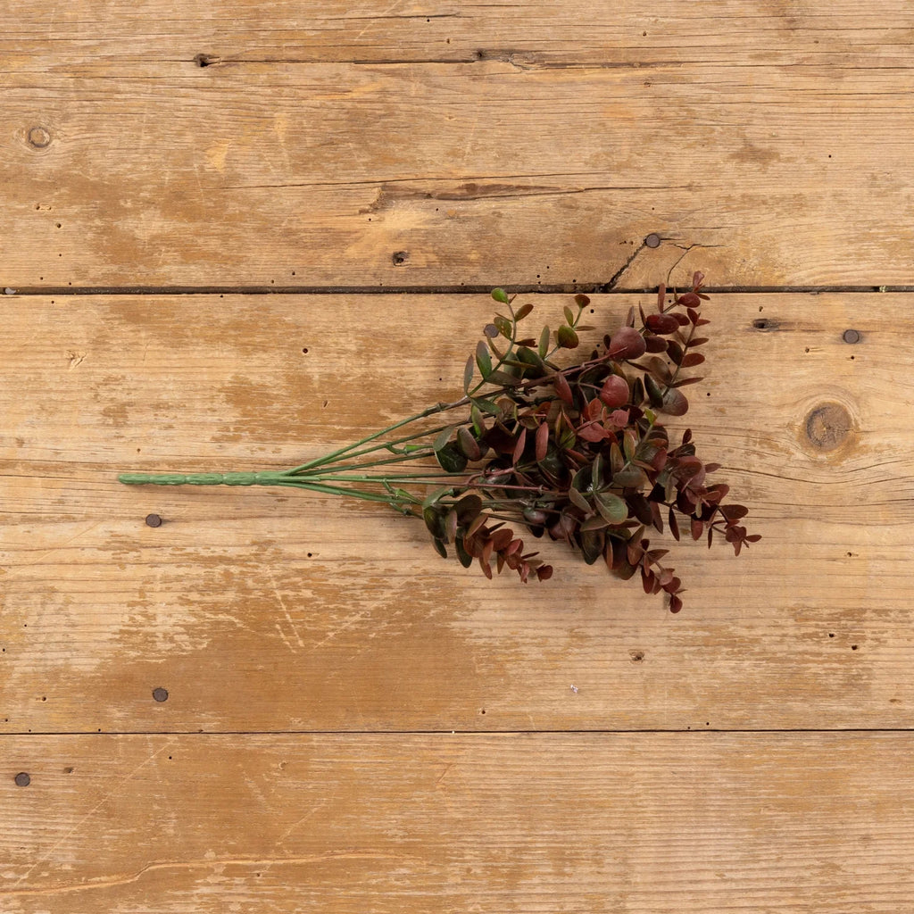 Dark Maroon Eucalyptus Pick