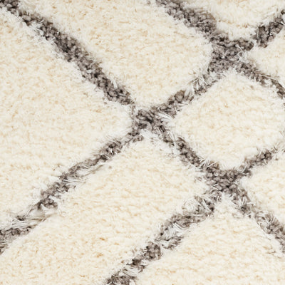 Nourison Luxurious Shag Ultra Plush Pile Abstract Geometric Area Rug