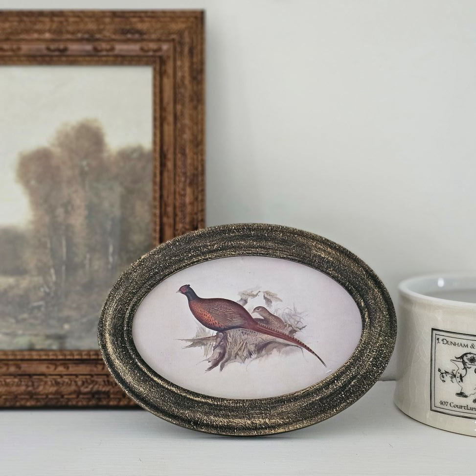 Pheasant  Print with Golden Black Frame