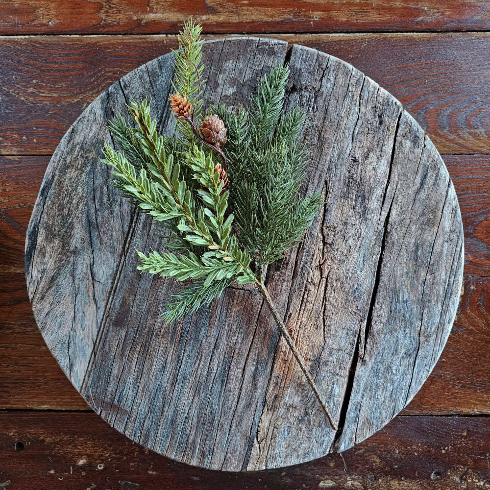 Pine Greens with Hemlock Sprig Pick
