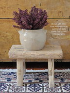 Plum Astilbe Bush Pick