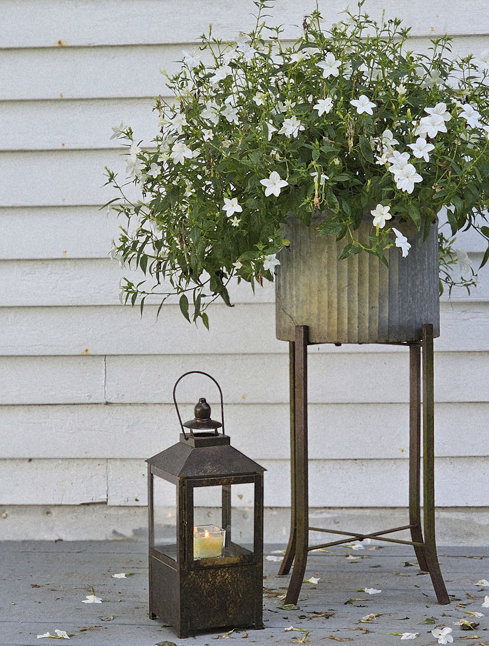 Seville Candle Lantern