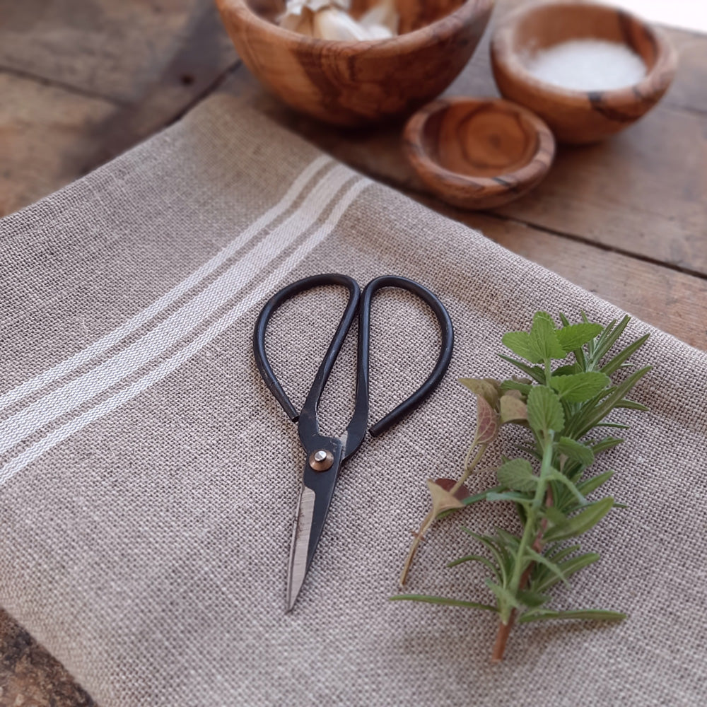 Vintage Style Garden Scissor