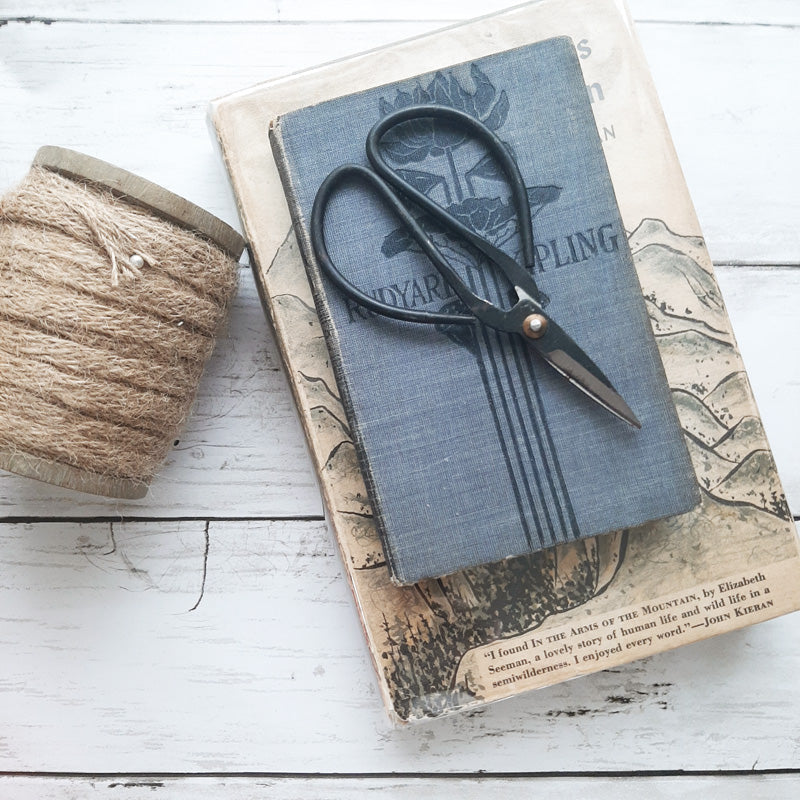 Vintage Style Garden Scissor