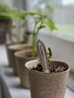 Vintage Serveware Stem Plant Markers, Set of Five