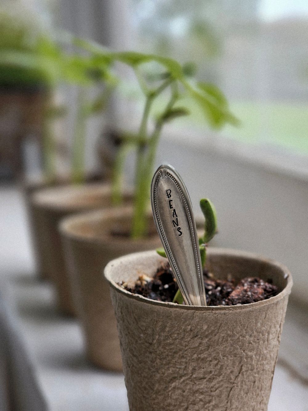 Vintage Serveware Stem Plant Markers, Set of Five