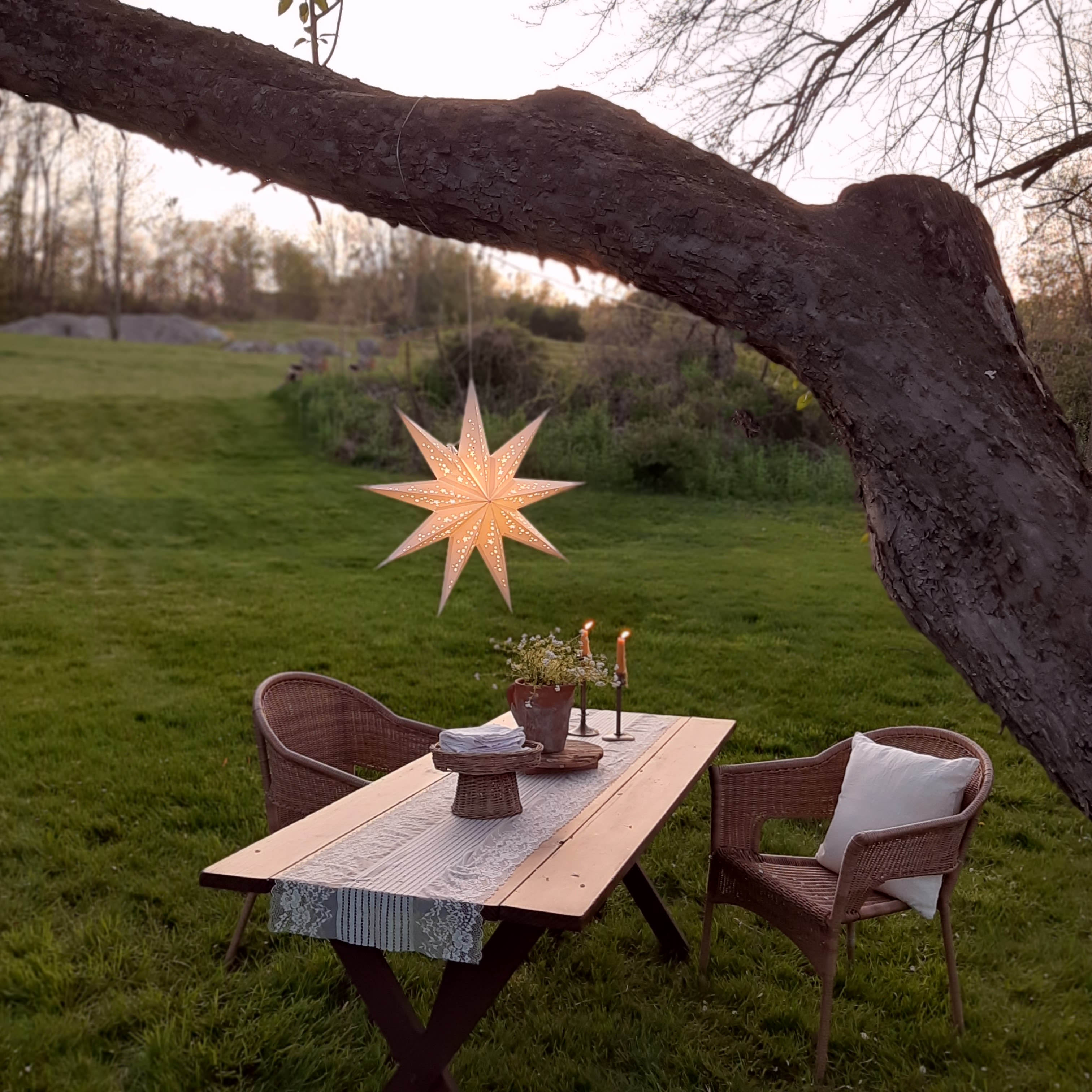 White Paper Star Light