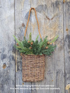Willow Hanging Basket