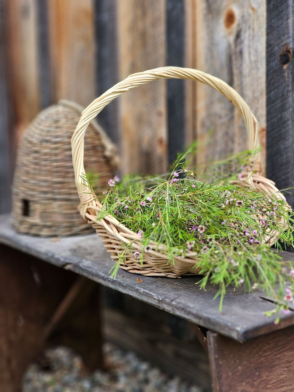Willow Gathering Baskets, Set of Two