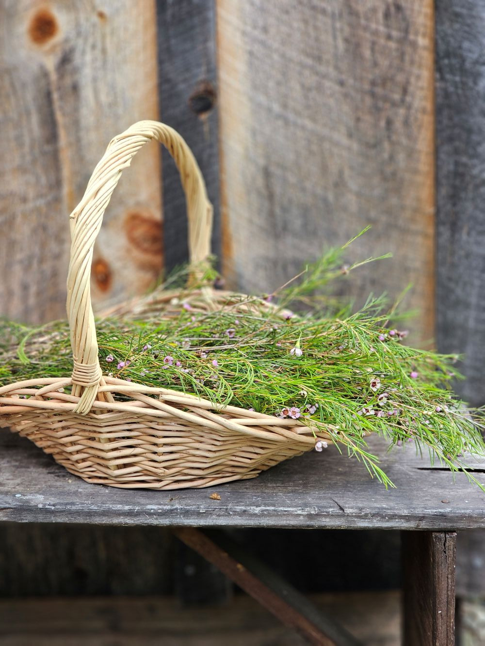 Willow Gathering Baskets, Set of Two
