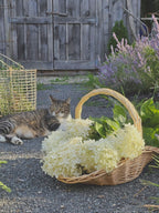 Willow Gathering Baskets, Set of Two