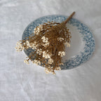 Winter White Astilbe Pick