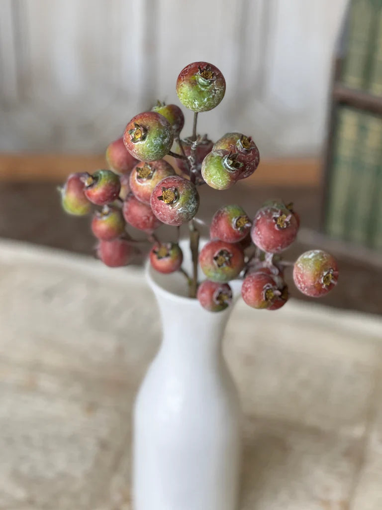 Winter Crabapple Spray Pick